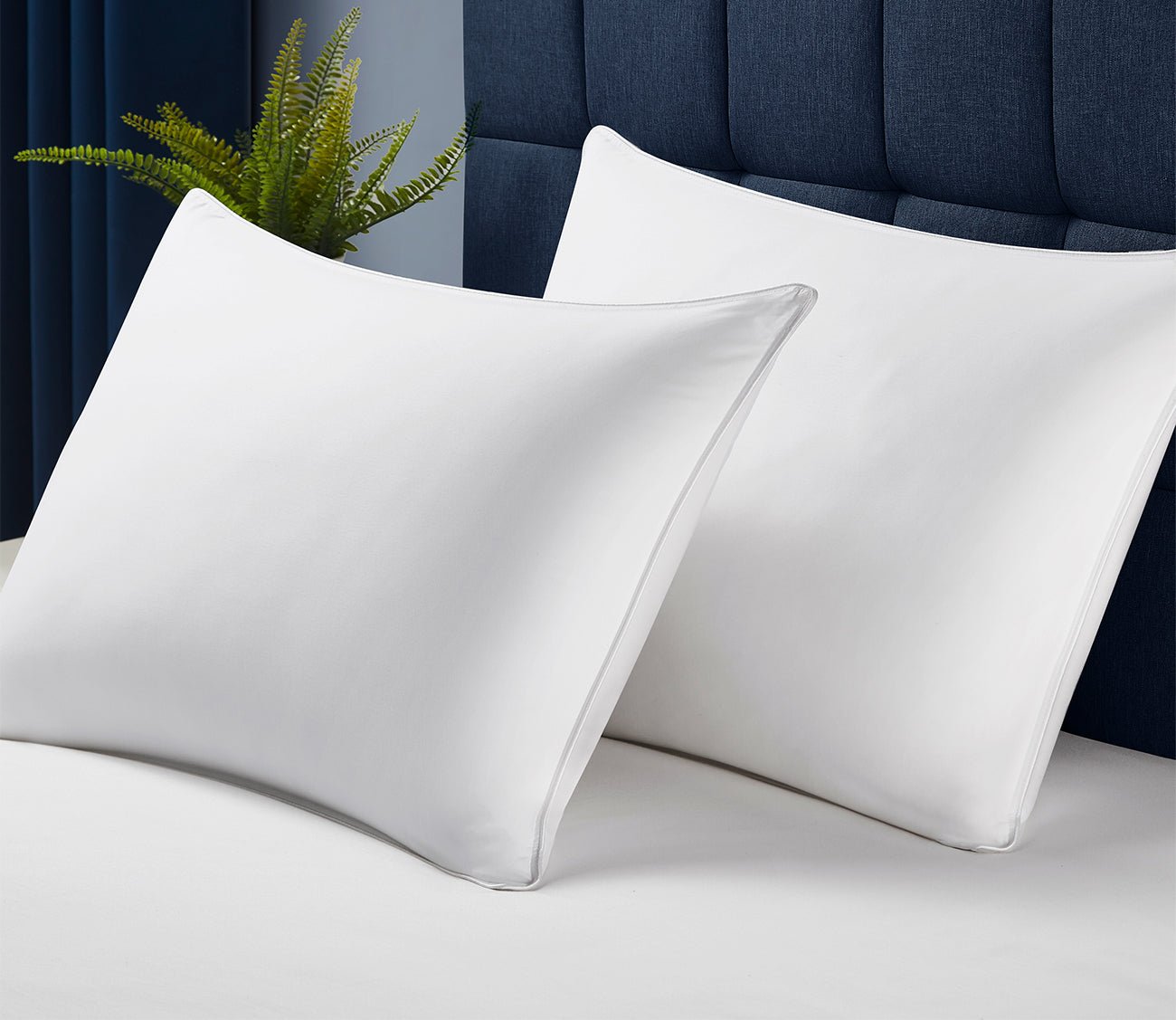 Stearns & Foster Pyrenees Down and Feather Chamber Pillow