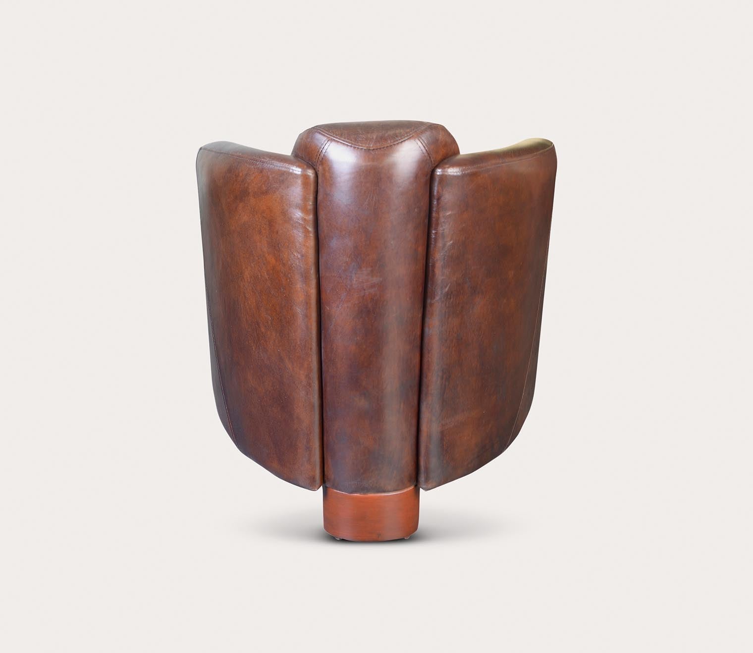Moe's Furniture Salzburg Brown Top-Grain Leather Club Chair 4 Moe's Furniture Salzburg Brown Top-Grain Leather Club Chair