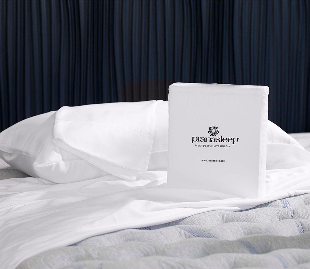 PranaSleep Maderia Lyocell White Pillowcase Set of 2