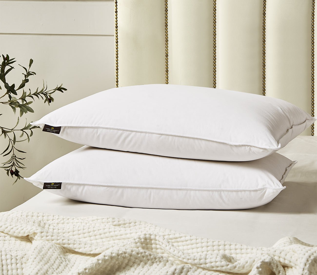 Farm To Home Organic Cotton Softy-Around White Feather and Down Pillow 2-Pack