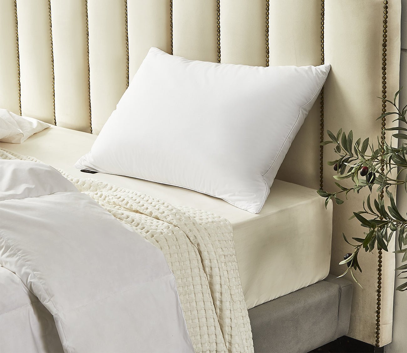 Farm To Home Organic Cotton Softy-Around White Feather and Down Pillow 2-Pack 3 Farm To Home Organic Cotton Softy-Around White Feather and Down Pillow 2-Pack