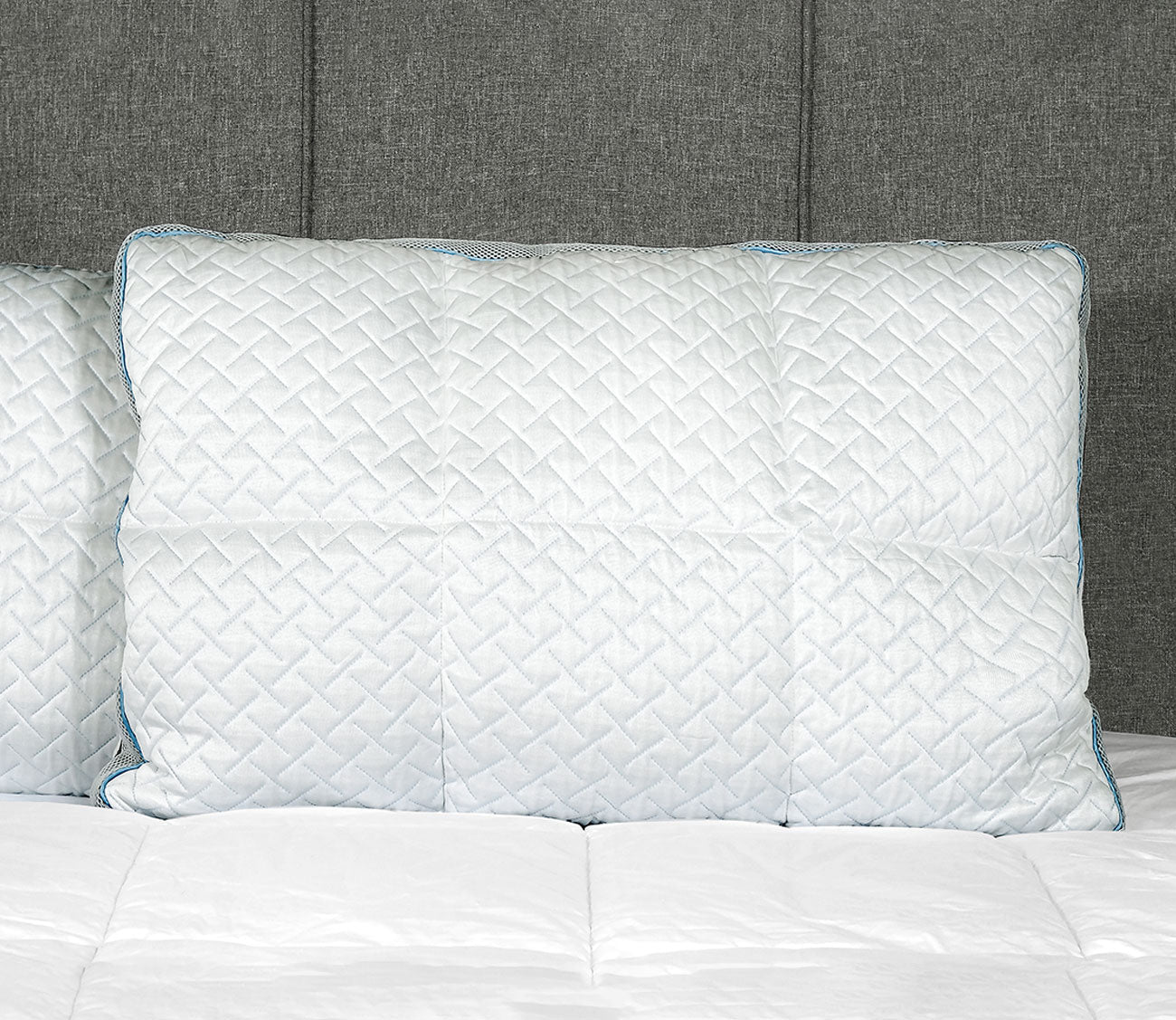 Primo International Polar Nova Deluxe Memory Foam Pillow