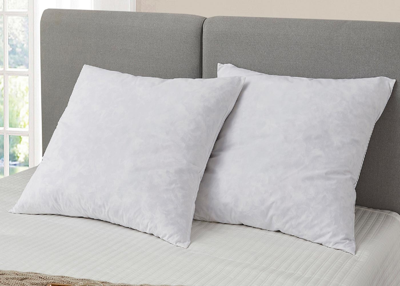 Blue Ridge Home Square Euro Feather Pillow 2-Pack