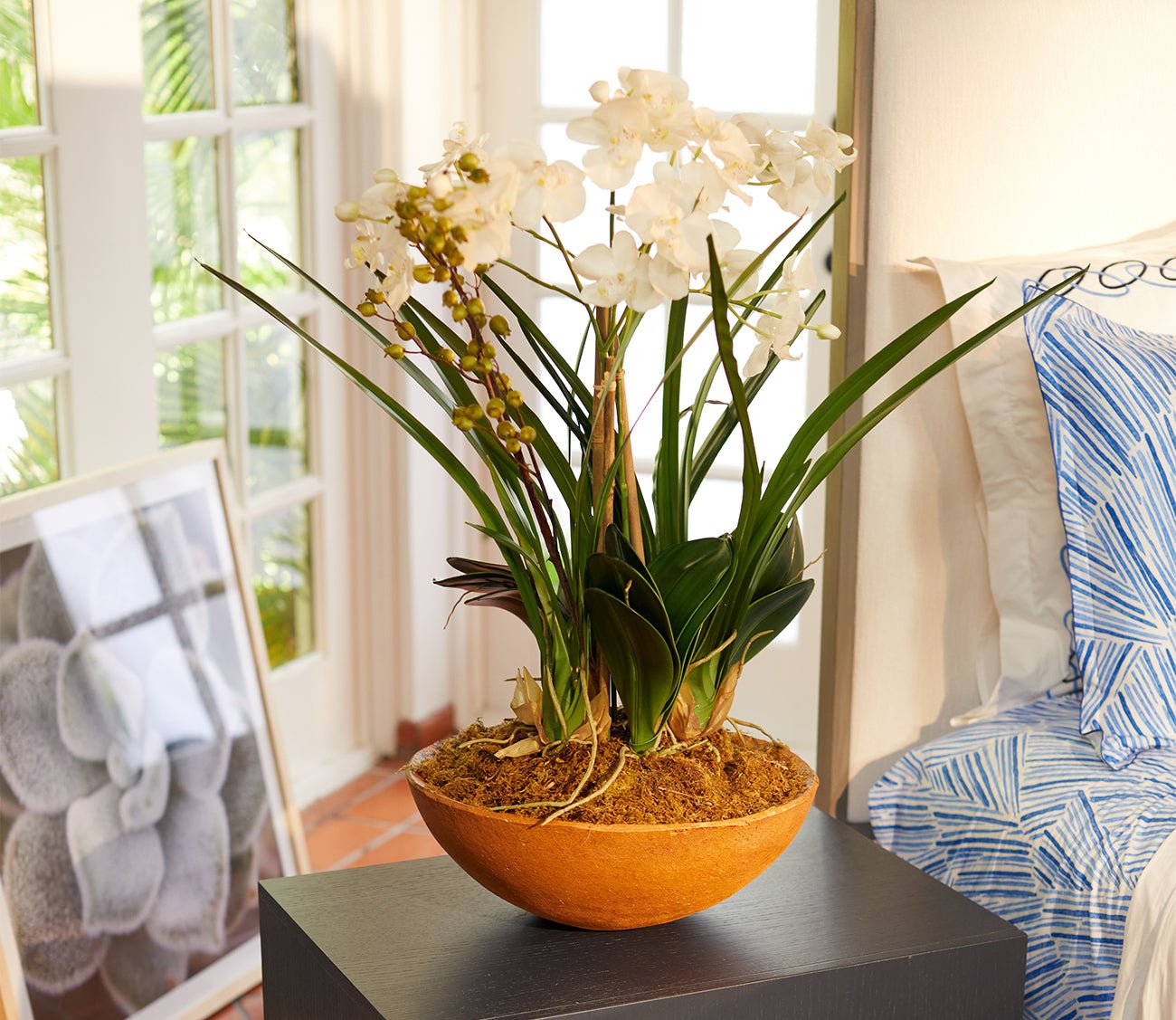 Uttermost Moth Orchid Planter