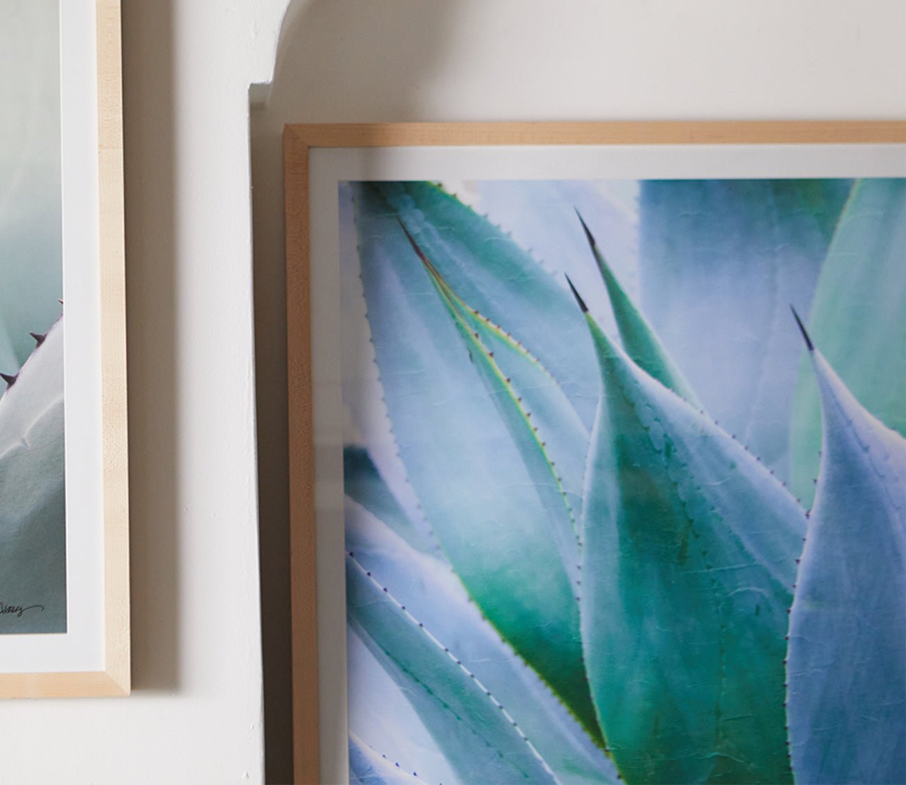Grand Image Agave 1 Digital Print 3 Grand Image Agave 1 Digital Print