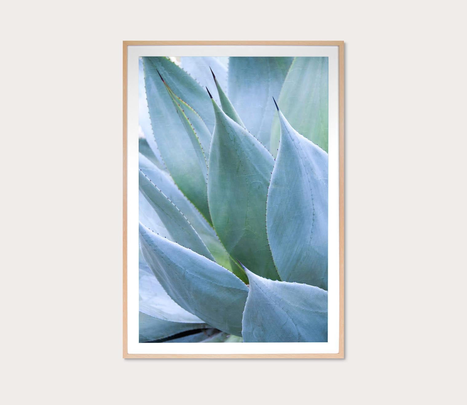 Grand Image Agave 1 Digital Print 5 Grand Image Agave 1 Digital Print