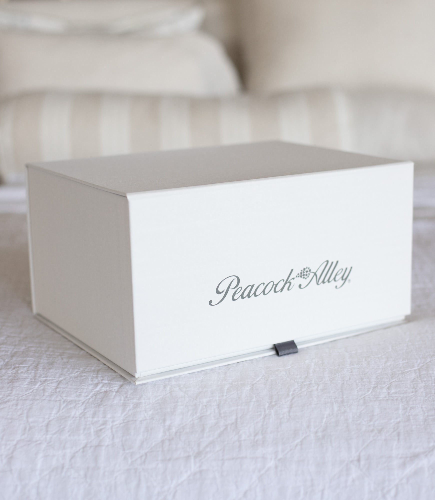 Swatch Box