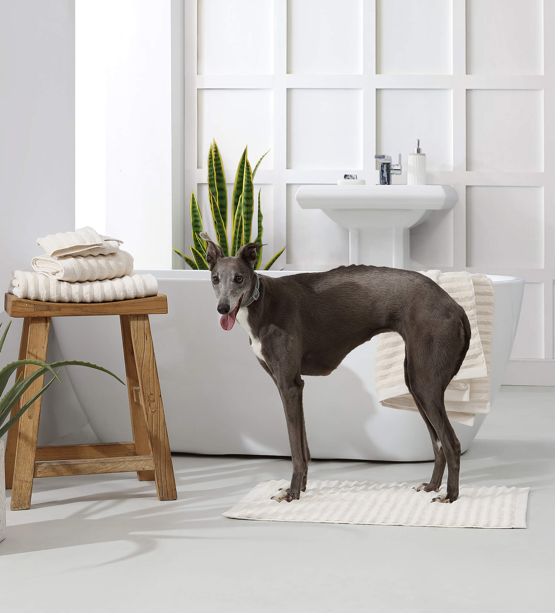 Turkish Cotton Rib Towel Set 4 Turkish Cotton Rib Towel Set