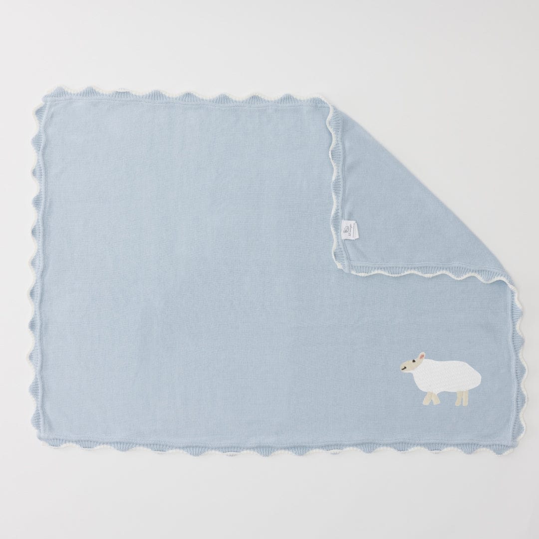 Baby Blanket 5 Baby Blanket